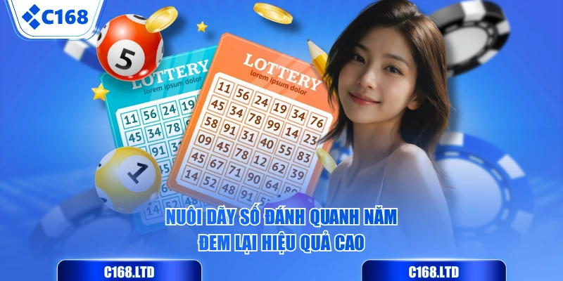Nuôi dãy số đánh quanh năm đem lại hiệu quả cao